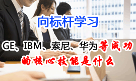 向標(biāo)桿學(xué)習(xí)：卓越企業(yè)成功之道